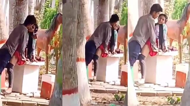 Public Park Desi College Lover Fucking New Porn – Xxx India Video